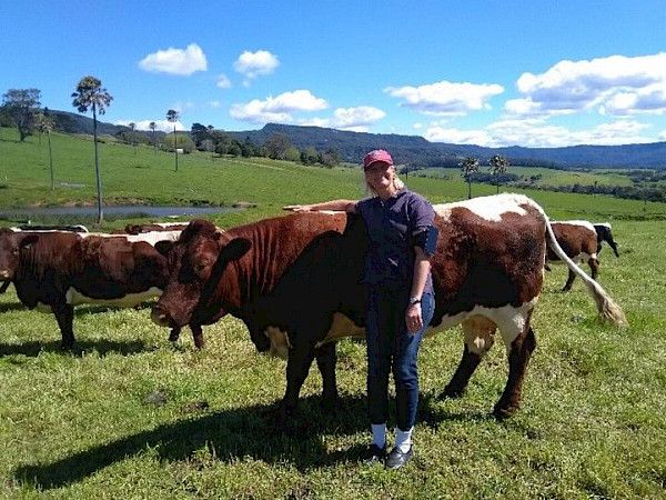 Here’s our daughter with the cattle in front of our little red farmhouse.