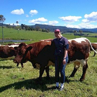 Eine Österreicherin mit Pinzgauer Rindern in Australien
