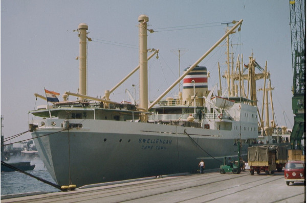 The story of Pinzgauer Cattle in Africa