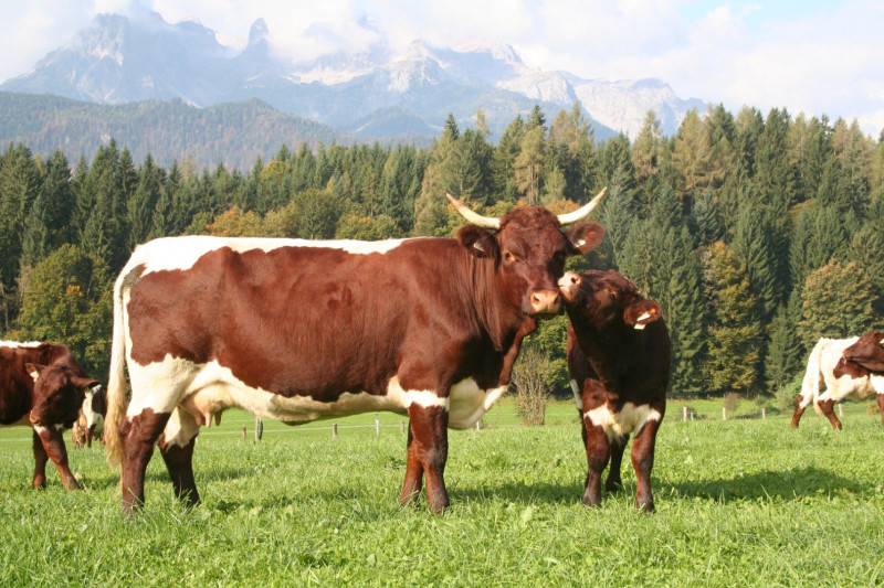 Symposium: Ganz egal, woher mein Essen kommt?!