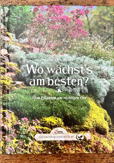 Wo wächst's am besten?