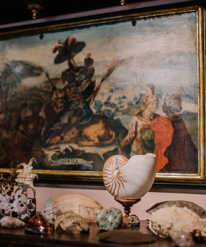 Schatz- und Wunderkammer