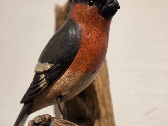 Viechtauer Vögel visit Leogang