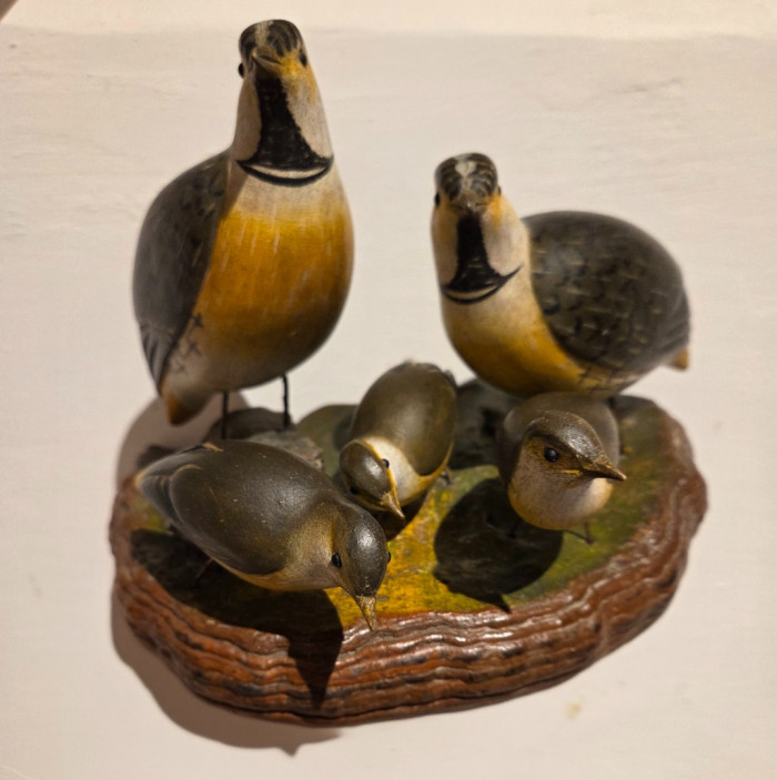 Viechtauer Vögel zu Gast in Leogang