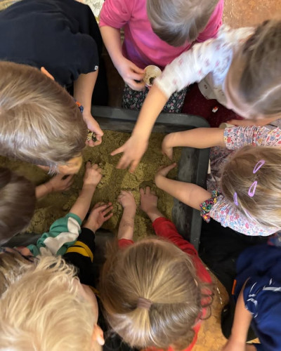 Post vom 20.03.2026 12:01 - ⚜️Impressionen vom Kindernachmittag am 19.03.2026⚜️