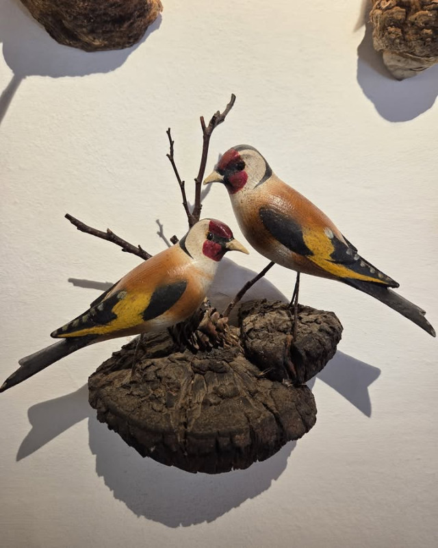 Post vom 05.05.2026 10:02 - ⚜️Sonderausstellung⚜️ Viechtauer Vögel zu Gast in Leogang Viechtau ist eine Land