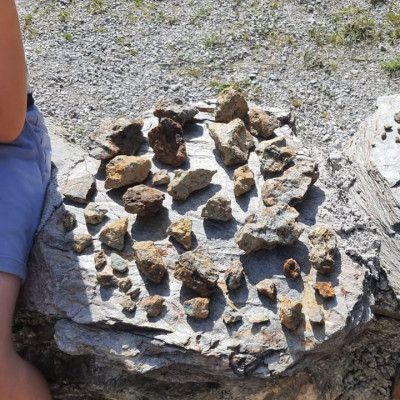 Post vom 21.07.2026 12:15 - ⚜️Impressionen vom Kindernachmittag "Abenteuer Mineralien" am 16.07.2026⚜️